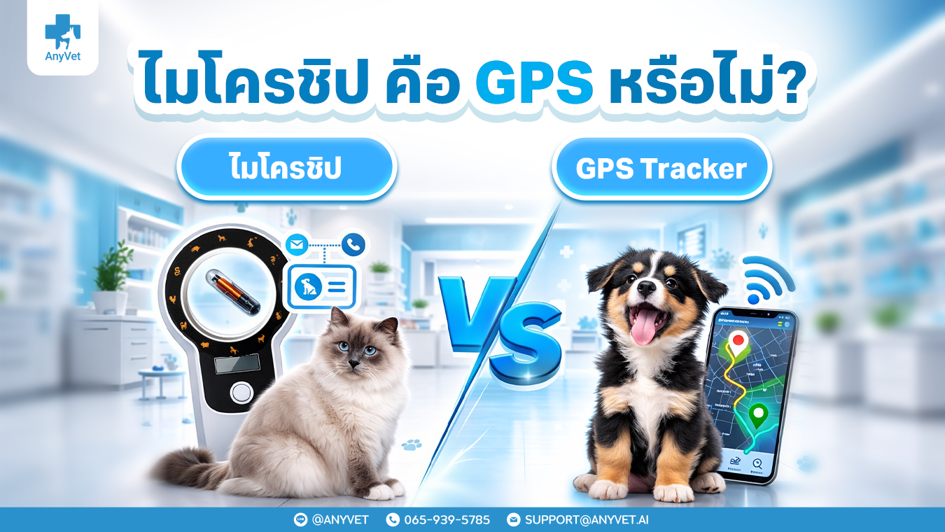 Does a Dog or Cat Microchip Work Like a GPS?
